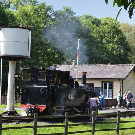 Llanwddyn  Celyn Bach - Uk37083ヴィラ エクステリア 写真
